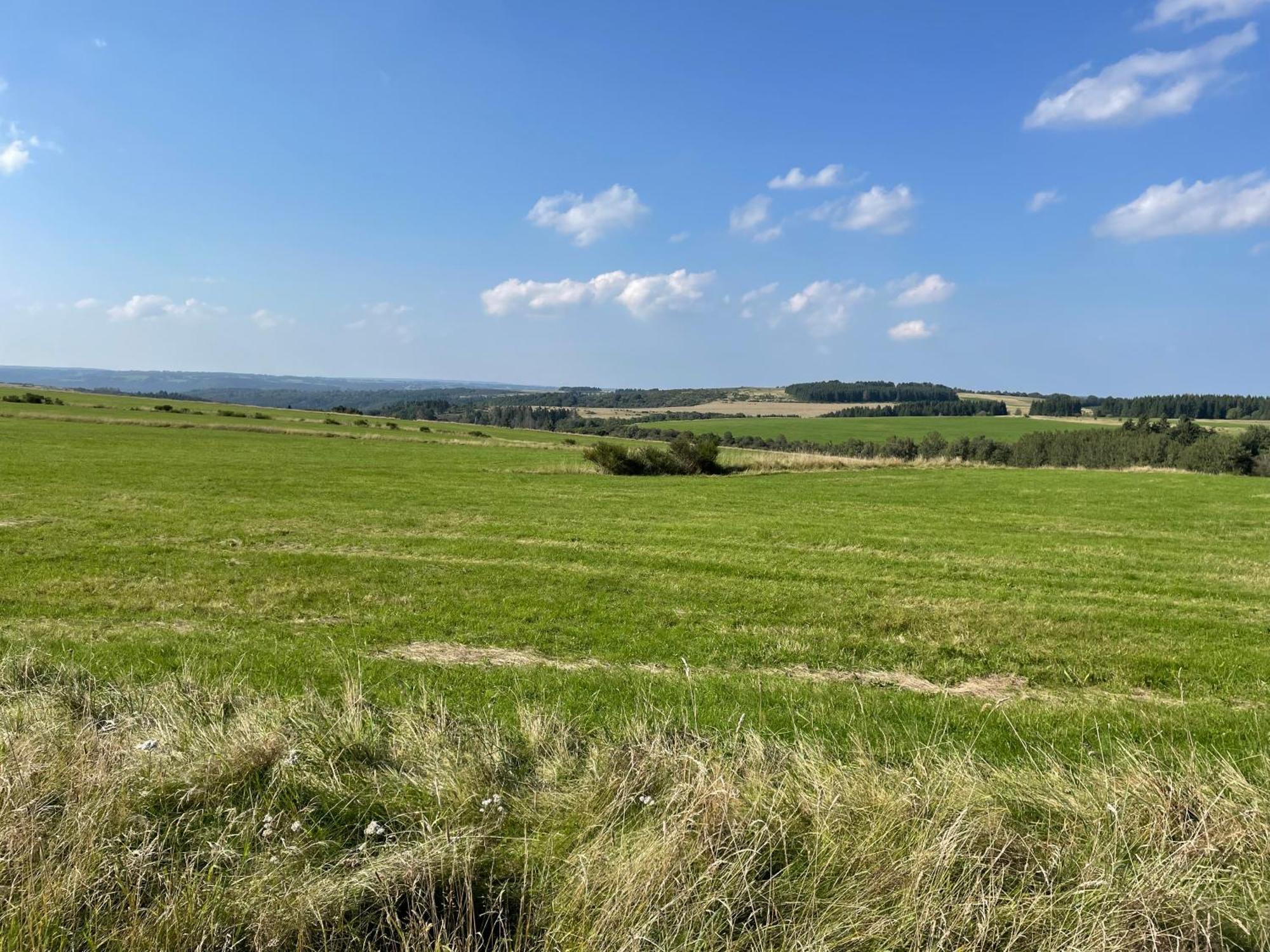 Wunderschoene "Ferienwohnung-Simmerath" Eifel Nordeifel Nationalpark Extérieur photo